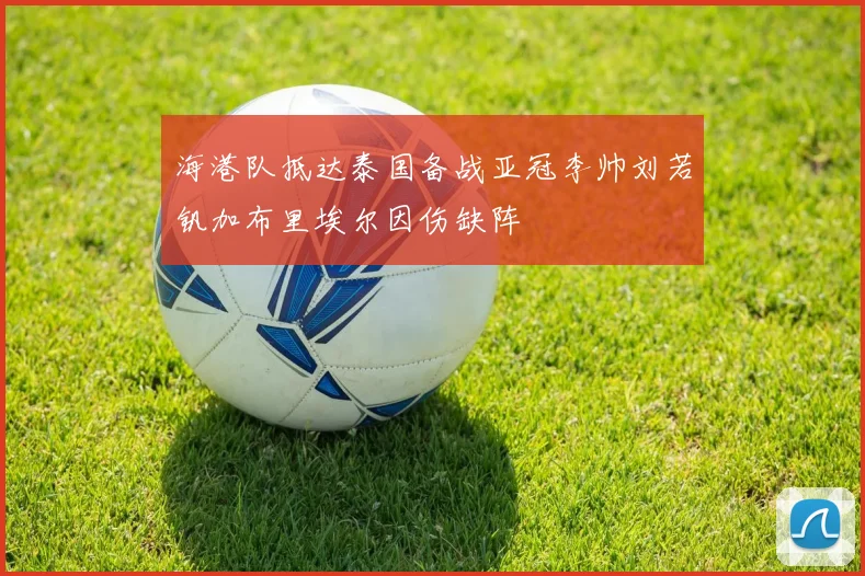 海港队抵达泰国备战亚冠李帅刘若钒加布里埃尔因伤缺阵